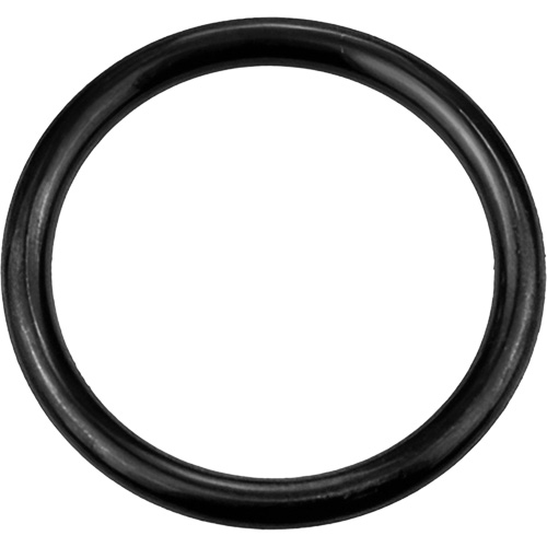 Black Replacement O-Ring, Plain Pathway Supply LP