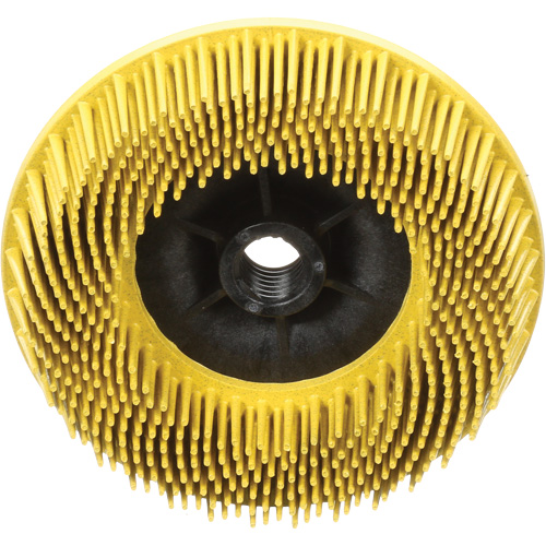 Disques radiaux bristle pour meuleuses angulaires Scotch-Brite, C&eacute;ramique, Grain 80, 4-1/2" dia. Pathway Supply LP