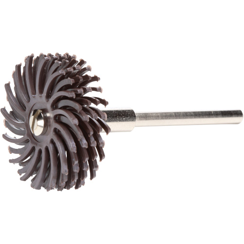 Scotch-Brite Radial Bristle Discs, Ceramic, 36X Grit, 1" Dia. Pathway Supply LP