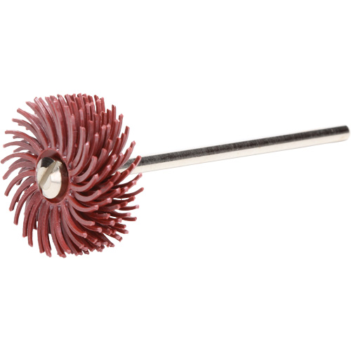 Scotch-Brite Radial Bristle Discs, P220X Grit, 3/4" Dia. Pathway Supply LP