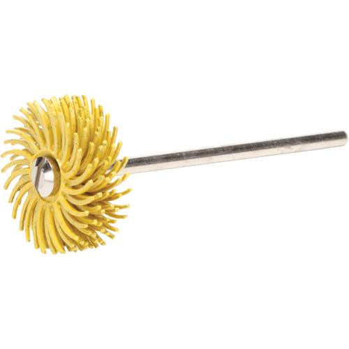 Scotch-Brite Radial Bristle Discs, 80X Grit, 3/4" Dia. Pathway Supply LP