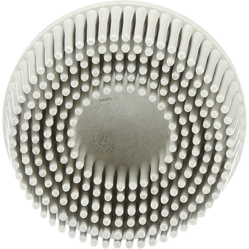 Scotch-Brite Roloc Bristle Discs, 120 Grit, 2" Dia. Pathway Supply LP