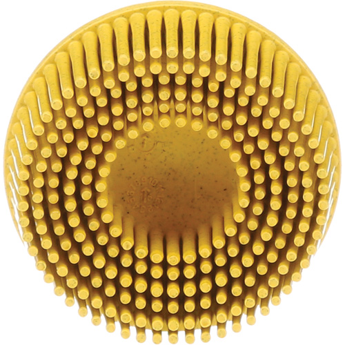 Scotch-Brite Roloc Bristle Discs, 80 Grit, 2" Dia. Pathway Supply LP