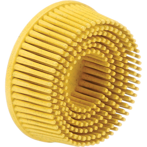 Scotch-Brite Roloc Bristle Discs, 80 Grit, 2" Dia. Pathway Supply LP