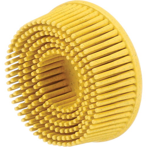 Scotch-Brite Roloc Bristle Discs, 80 Grit, 2" Dia. Pathway Supply LP