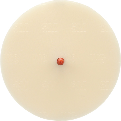 Disque Scotch-Brite 7502 pour retrait de colle et de bandes de moulage, 6" dia. Pathway Supply LP