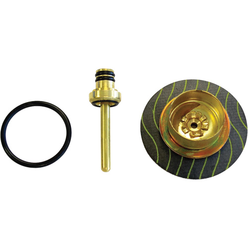 Filter/Regulator - Relieving Diaphragm & Valve Assembly Pathway Supply LP