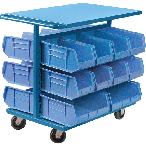 Bin Cart with Bins, Double-sided, 20 bins, 24" W x 38-1/2" D x 36-1/2" H Pathway Supply LP