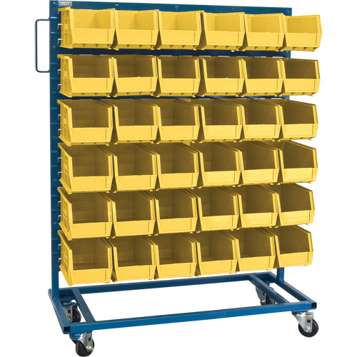 Single-Sided Mobile Bin Rack, Single-sided, 36 bins, 36" W x 16" D x 46-1/2" H Pathway Supply LP