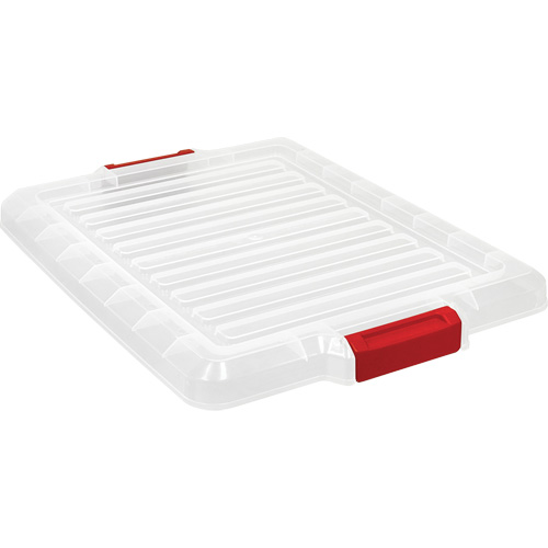 Lid for Plastic Latch Container Pathway Supply LP