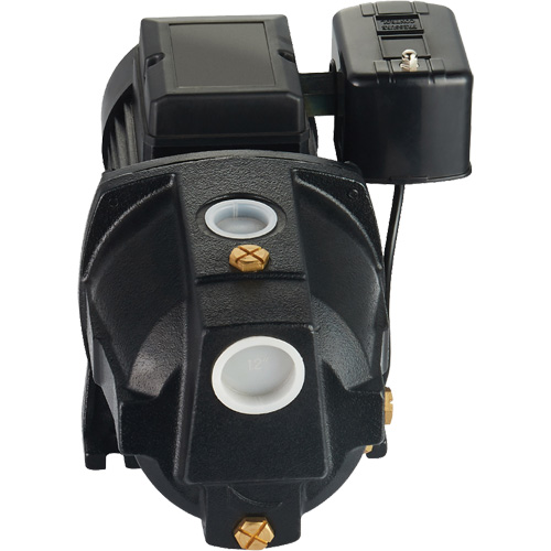 Pompe &agrave; jet en fonte &agrave; double tension pour puit peu profond, 115 V/230 V, 1100 gal./h, 1 CV Pathway Supply LP