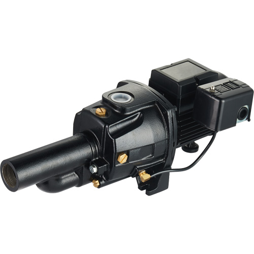 Dual Voltage Cast Iron Convertible Jet Pump, 115 V/230 V, 1100 GPH, 1/2 HP Pathway Supply LP