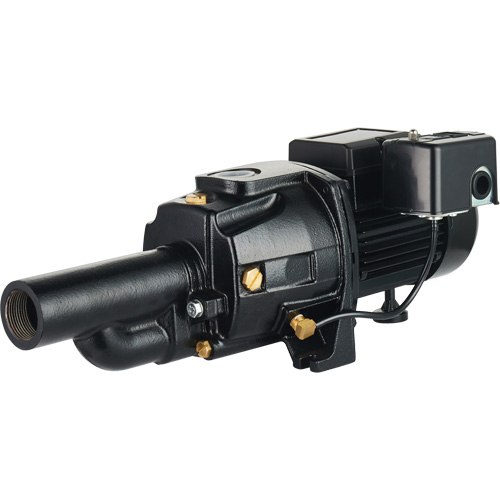 Dual Voltage Cast Iron Convertible Jet Pump, 115 V/230 V, 1100 GPH, 1/2 HP Pathway Supply LP