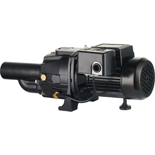Dual Voltage Cast Iron Convertible Jet Pump, 115 V/230 V, 1100 GPH, 1/2 HP Pathway Supply LP