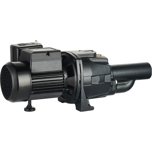 Dual Voltage Cast Iron Convertible Jet Pump, 115 V/230 V, 1100 GPH, 1/2 HP Pathway Supply LP