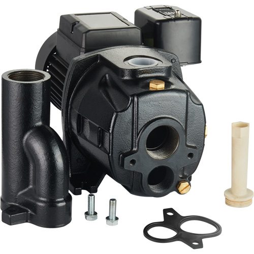 Dual Voltage Cast Iron Convertible Jet Pump, 115 V/230 V, 1100 GPH, 1/2 HP Pathway Supply LP