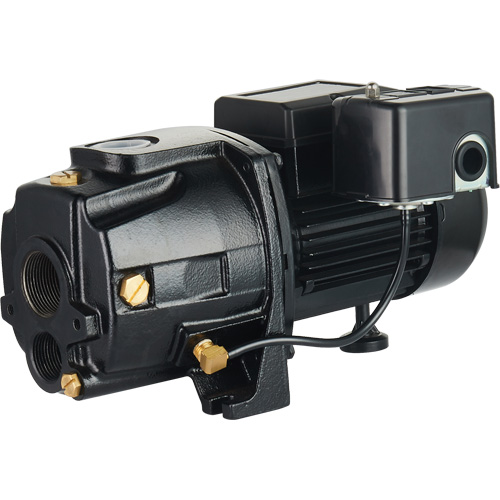 Dual Voltage Cast Iron Convertible Jet Pump, 115 V/230 V, 1100 GPH, 1/2 HP Pathway Supply LP