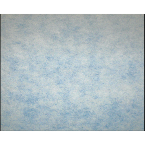 High-Arrestance Synthetic Media Filters, Pad, MERV 5, 20" W x 2" D x 16" H Pathway Supply LP