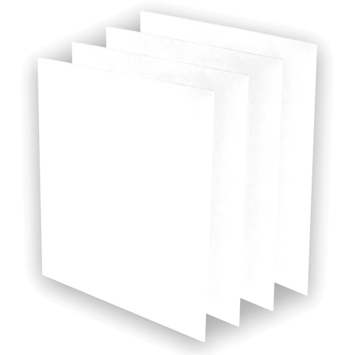 Pr&eacute;-filtres AeraMax Pro AM3 ou AM4, 13,75" la x 0,13" p x 14,38" h Pathway Supply LP