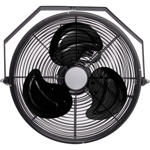 Industrial Workstation Fan, Industrial, 12" Dia., 3 Speeds Pathway Supply LP