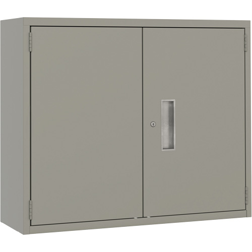 Armoire murale, Acier, 2 Tablettes, 30" h x 36" la x 12" P, Gris Pathway Supply LP