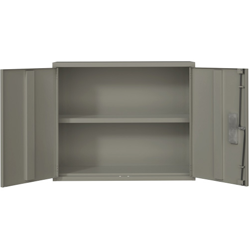 Armoire murale, Acier, 2 Tablettes, 30" h x 36" la x 12" P, Gris Pathway Supply LP