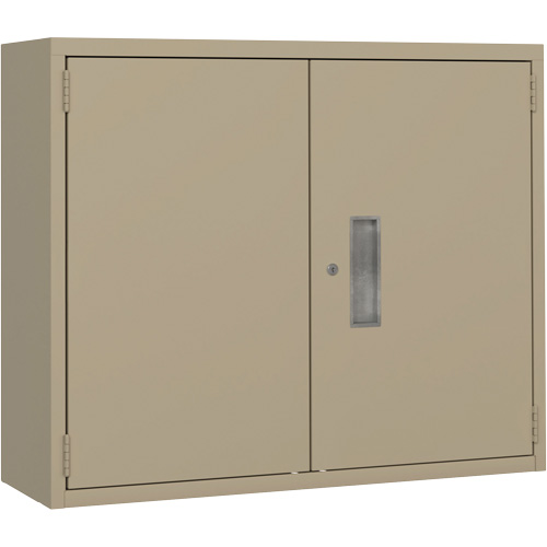 Wall Mounted Cabinet, Steel, 2 Shelves, 30" H x 36" W x 12" D, Beige Pathway Supply LP