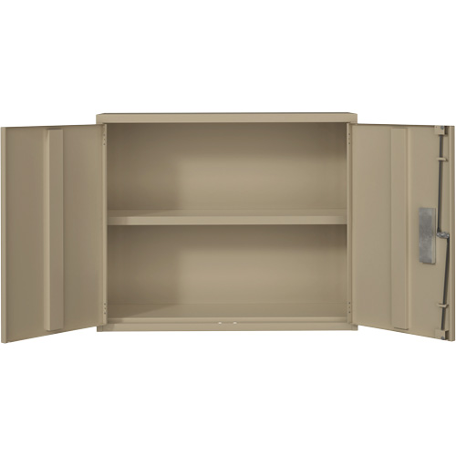 Wall Mounted Cabinet, Steel, 2 Shelves, 30" H x 36" W x 12" D, Beige Pathway Supply LP