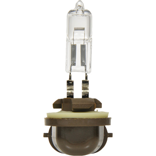886 Basic Fog Light Bulb, Halogen, 50 W, Off White Pathway Supply LP