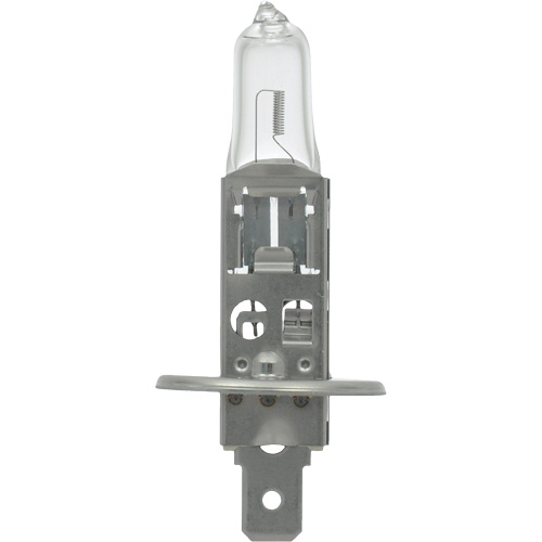 64155 Basic Automotive Bulb, Halogen, 78 W, Off White Pathway Supply LP