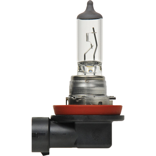 H8 Basic Headlight Bulb, Halogen, 35 W, Off White Pathway Supply LP