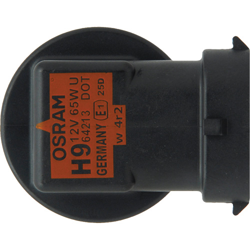 Ampoule de base pour feu avant H89, Halog&egrave;ne, 70 W, Blanc cass&eacute; Pathway Supply LP