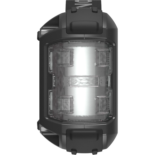Survolteur, banque d'alimentation et lampe de poche JumpSurge3000 Pathway Supply LP