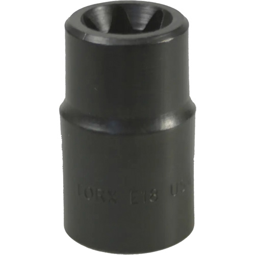 E-18 Torx&reg; Socket Pathway Supply LP