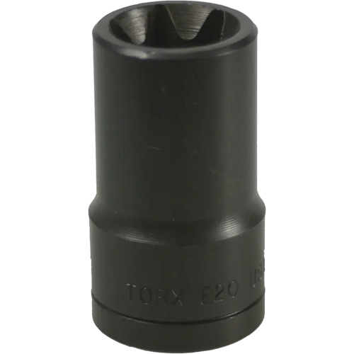 E-20 Torx&reg; Socket Pathway Supply LP