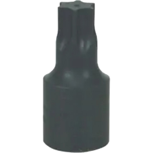 Large T-70 Torx&reg; Bit Pathway Supply LP