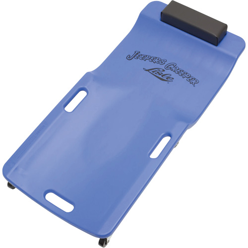 Chariot de visite bas en plastique bleu Pathway Supply LP
