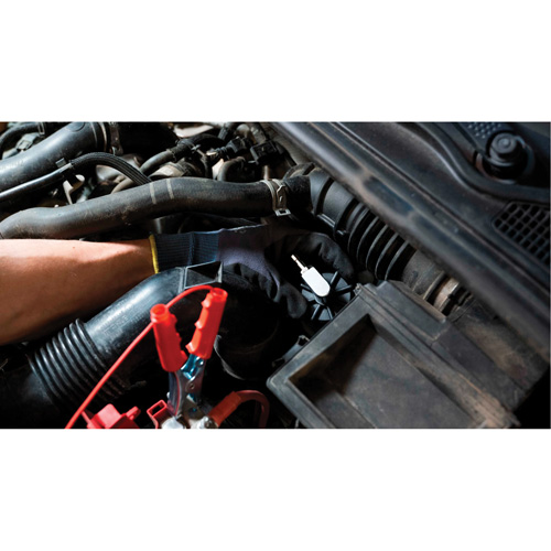 Tall Frame Brake-Pro Pressure Brake Bleeder with Adapters Pathway Supply LP