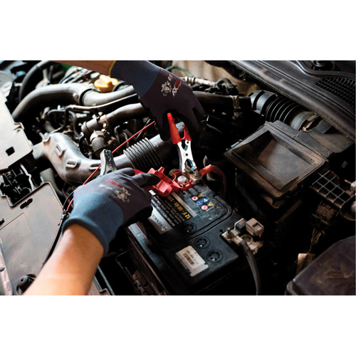 Tall Frame Brake-Pro Pressure Brake Bleeder with Adapters Pathway Supply LP