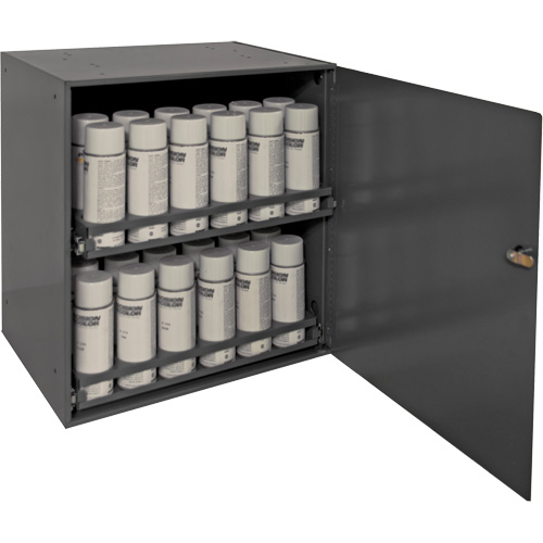 Armoire de rangement pour contenants a&eacute;rosol, Acier, 21-7/8" h x 15-15/16" la x 20-5/16" P, Gris Pathway Supply LP
