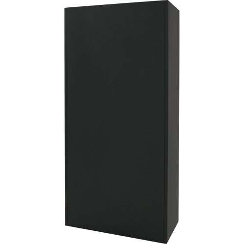 Combination Storage Cabinet, 36" W x 18" D x 72" H, Black Pathway Supply LP