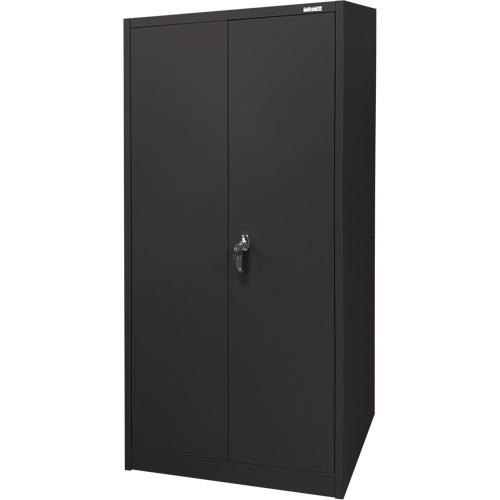 Storage Cabinet, Steel, 4 Shelves, 66" H x 30" W x 15" D, Black Pathway Supply LP