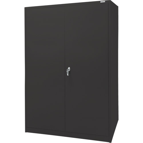 Storage Cabinet, Steel, 4 Shelves, 78" H x 48" W x 24" D, Black Pathway Supply LP