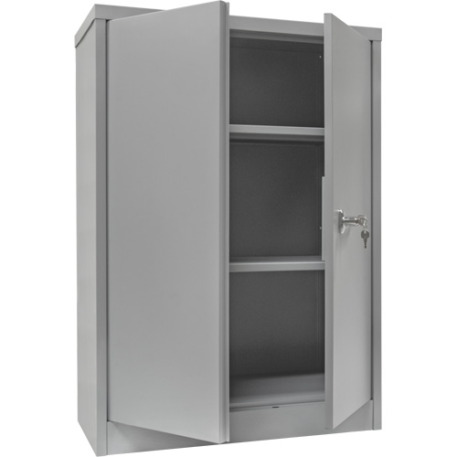 Armoire de rangement &agrave; hauteur de comptoir, Acier, 2 Tablettes, 42" h x 48" la x 24" P, Gris Pathway Supply LP