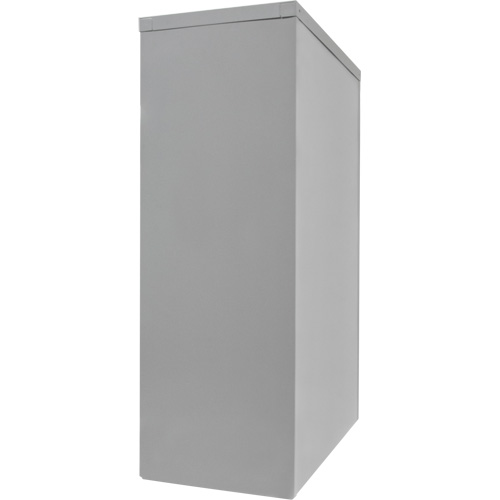 Armoire de rangement &agrave; hauteur de comptoir, Acier, 2 Tablettes, 42" h x 48" la x 24" P, Gris Pathway Supply LP