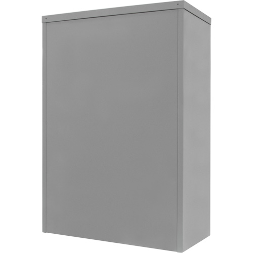Armoire de rangement &agrave; hauteur de comptoir, Acier, 2 Tablettes, 42" h x 48" la x 24" P, Gris Pathway Supply LP