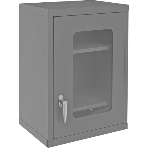 Armoire de rangement murale avec portes transparentes, 26-15/16" h x 18-1/8" la x 13-11/16" p, 2 tablettes, Acier, Gris Pathway Supply LP