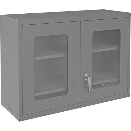 Armoire de rangement murale avec portes transparentes, 26-15/16" h x 35-7/8" la x 13-11/16" p, 2 tablettes, Acier, Gris Pathway Supply LP