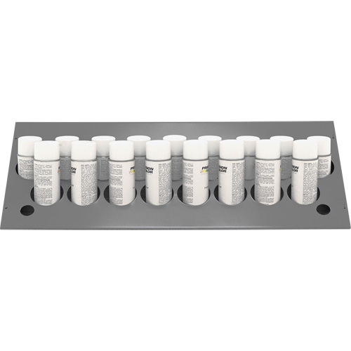 Aerosol Bin Topper Pathway Supply LP