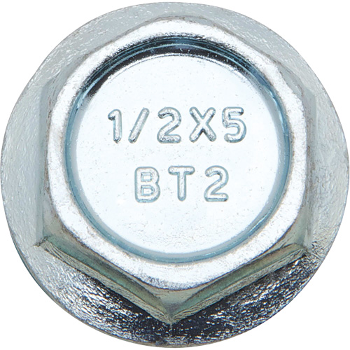 Wedge Bolts, Carbon Steel, 1/2" x 2" Pathway Supply LP